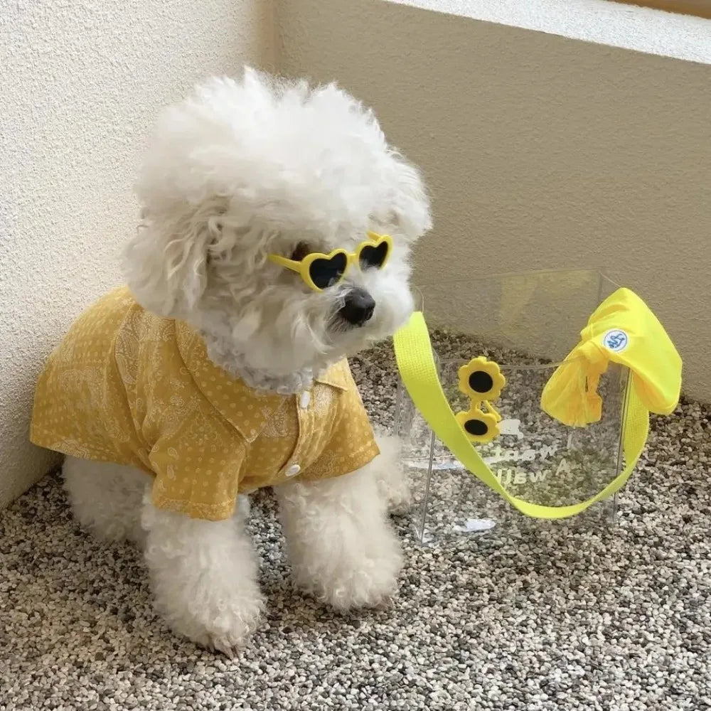 🕶️ Love Heart Pet Sunglasses – Fashion Cat & Dog Glasses with Jewelry Design