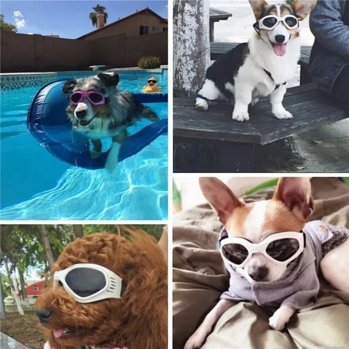 🕶️ V-Shape Foldable Pet Goggles – Stylish Dog & Cat Sunglasses