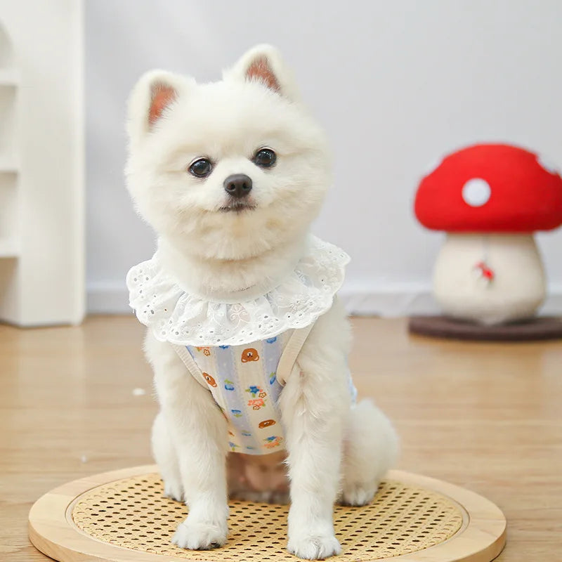 🐾 SoftCool™ Cotton Pet Summer Shirt