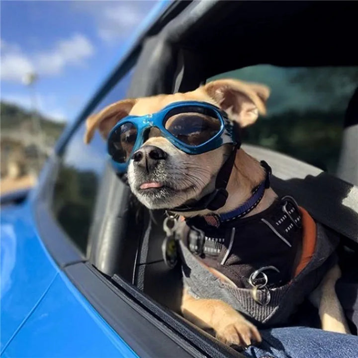 🕶️ V-Shape Foldable Pet Goggles – Stylish Dog & Cat Sunglasses