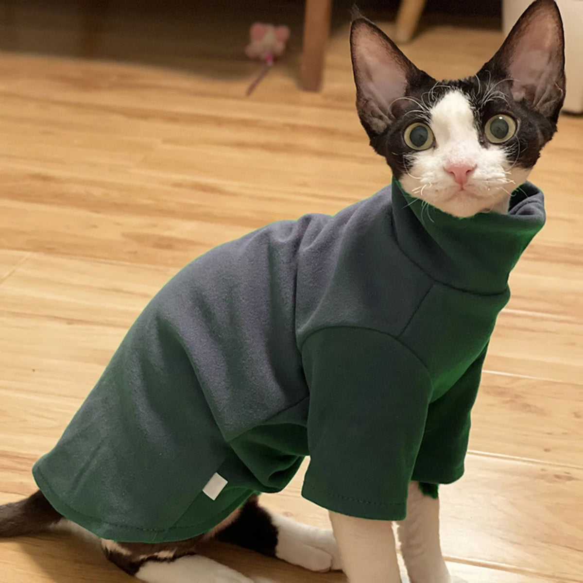 Soft Cotton Hairless Pet Hoodie – All-Season Comfort Wear