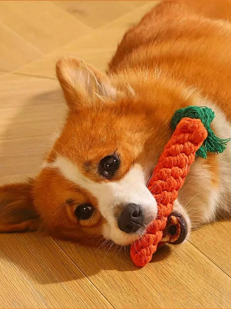 Hand-Woven Rope Dog Toy – Chew & Teeth Cleaning for Small & Medium Dogs