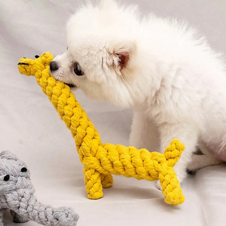 Hand-Woven Rope Dog Toy – Chew & Teeth Cleaning for Small & Medium Dogs