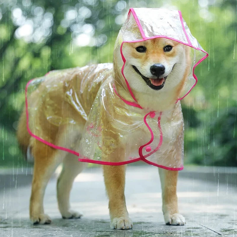 🌧️ ClearView Transparent Dog Raincoat – Lightweight Waterproof