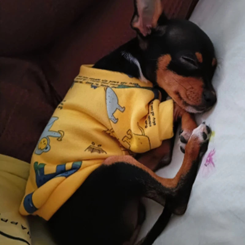 Personalized Pet Shirt – Stylish Outfit for Small Dogs & Cats