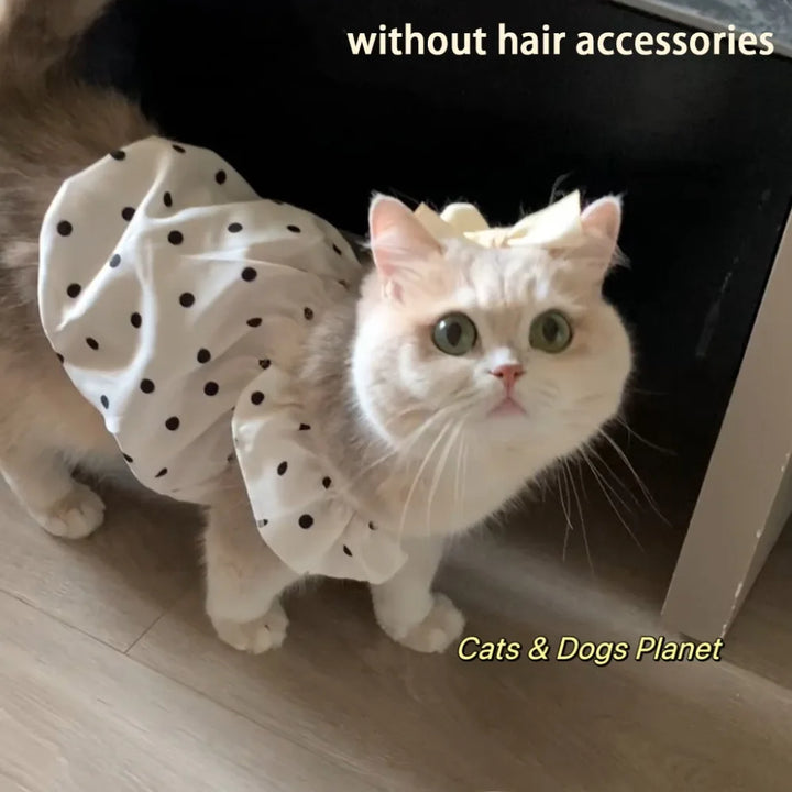 🎀 Polka Dot Princess Pet Dress – Summer Slim Fit Outfit