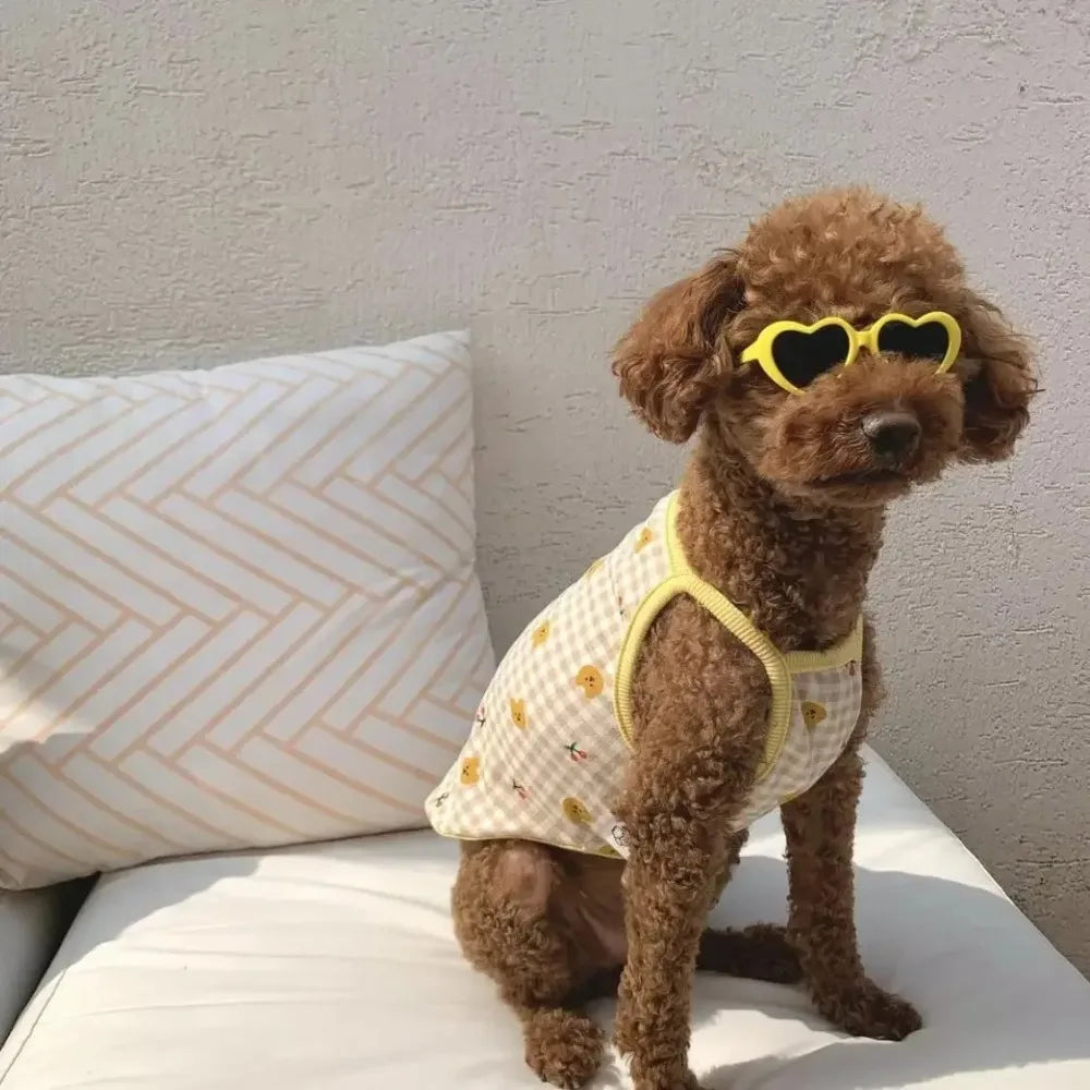 🕶️ Love Heart Pet Sunglasses – Fashion Cat & Dog Glasses with Jewelry Design