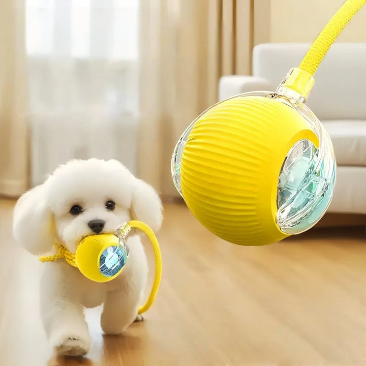 Automatic Dog Walking Ball – Electric Interactive Toy for Dogs & Cats