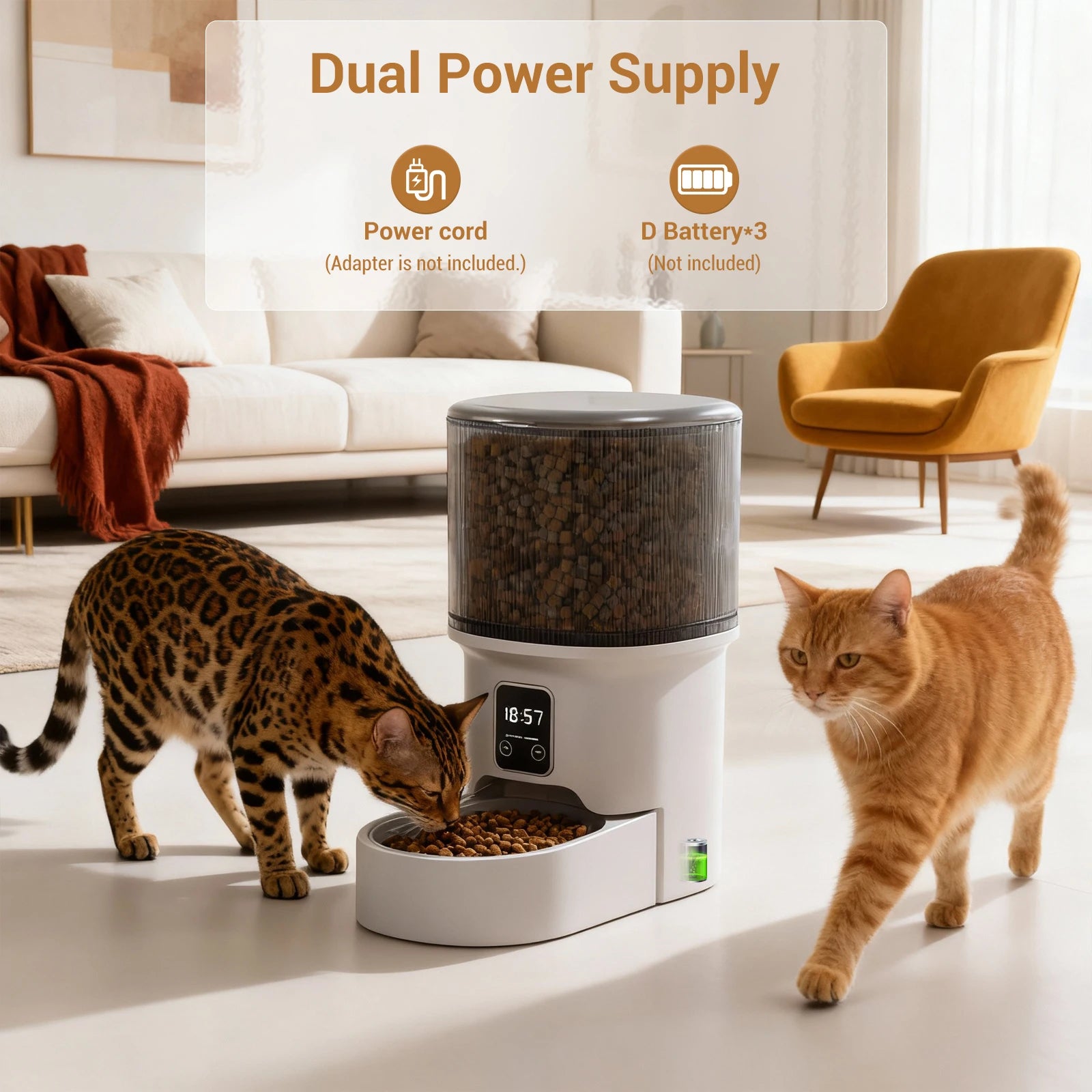 4L Programmable Automatic Pet Feeder – Timer & Portion Control for Cats & Small Dogs