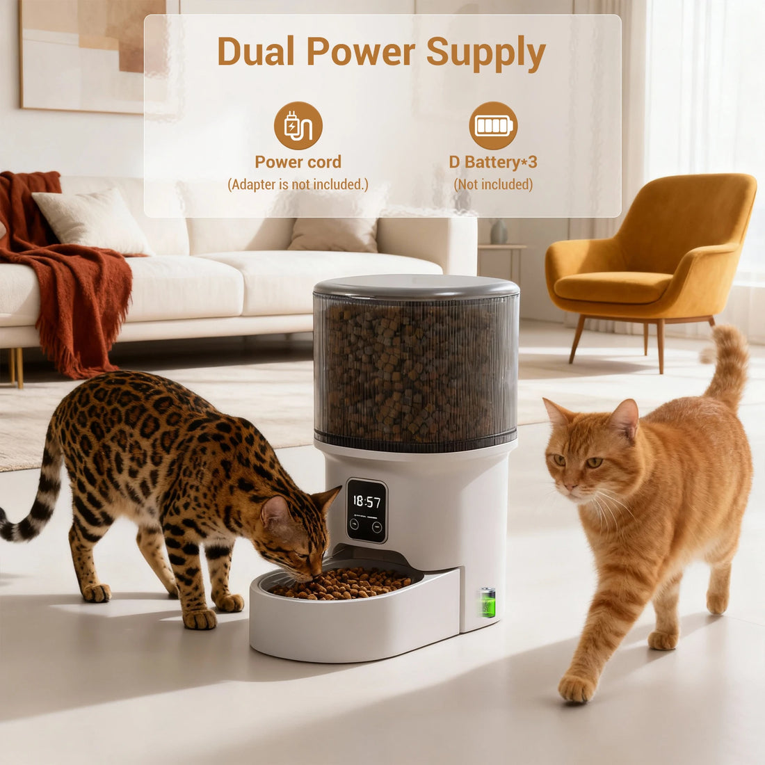 4L Programmable Automatic Pet Feeder – Timer & Portion Control for Cats & Small Dogs