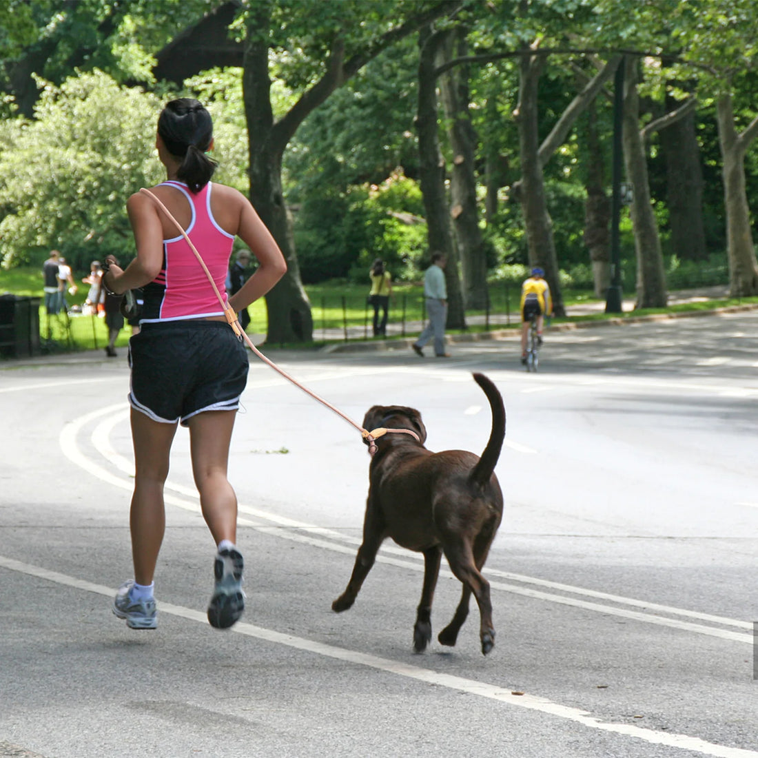 🐶 Hands-Free Adjustable P-Shaped Dog Leash – Running & Walking Traction Rope