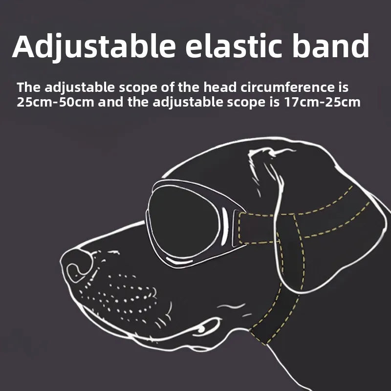 🕶️ UV Protection Dog Goggles – Windproof Outdoor Pet Sunglasses