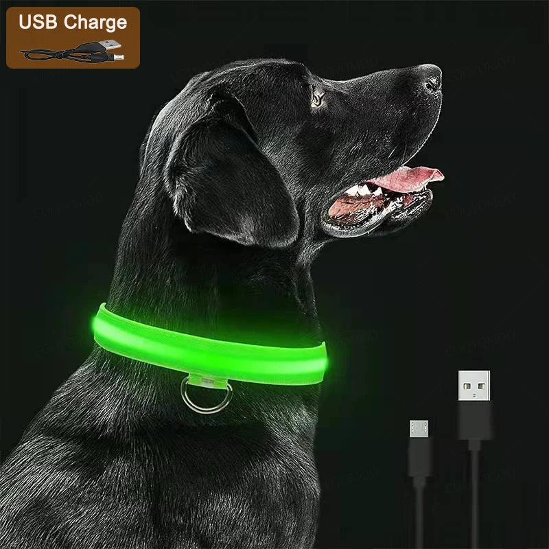 🐶 Quick Release Nylon Dog Collar – Durable Everyday Pet Collar