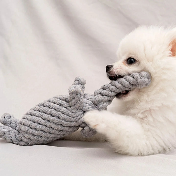 Hand-Woven Rope Dog Toy – Chew & Teeth Cleaning for Small & Medium Dogs