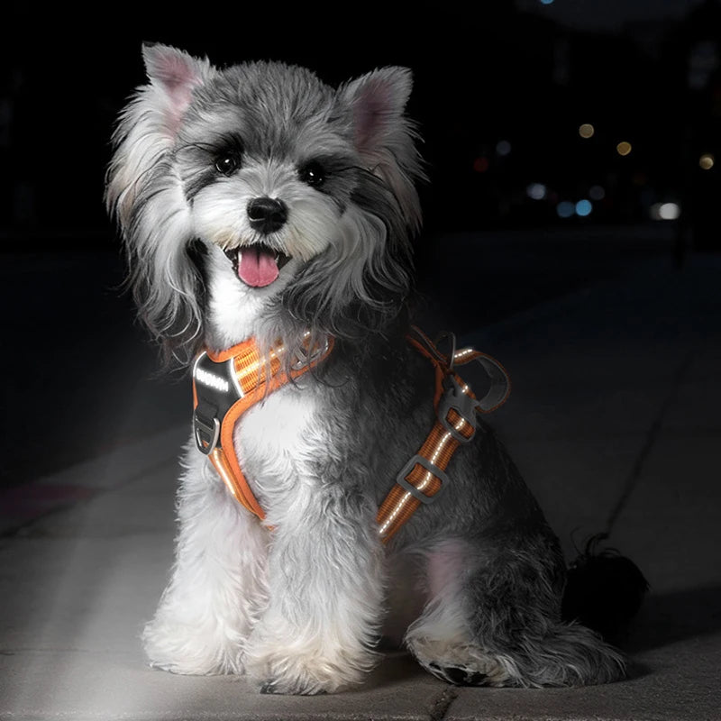 Reflective Adjustable Dog Harness – Explosion-Proof Safety Vest